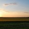 Wheat Field Sunset - Downs, KS