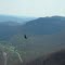Bird of Prey