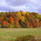 Fall, King - NC