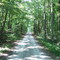 Evans Farm Rd, Tobaccoville, NC