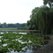 Diamond Lake, MN View
