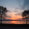 May 2005 - Plymouth, Minnesota. Pair of trees on the shore of Medicine Lake at sunset.