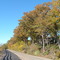 Oct 2005 - Plymouth, Minnesota. Fall colors along Medicine Lake.