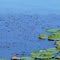 Ceder Lake