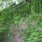 Secret Walk