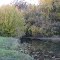 Oct 2010 - Minneapolis, Minnesota. Fall color reflections on Bassett Creek in Theodore Wirth Park.