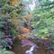 Big Creek on Woodin Road