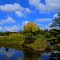 Holden arboretum