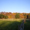 Fall foliage, Chesterland, Ohio