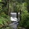 Lithia Creek