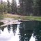 pond reflection