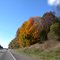 Along Rt 80