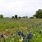Women's College Field.