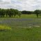 Near Independence Tx
