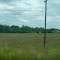 Hwy 105 SW of Navasota