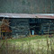 Barn 10