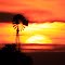 Windmill & great ball of fire