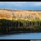 Fall Colors