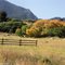 Fall color on Cheyenne Mountain
