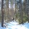 Feb 2006 - Grand Marais, Minnesota. Snowshoeing off the Gunflint Trail.