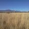 Pikes Peak view from the high prairie.