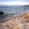 Seal Rookery at SanSimeon by moonlight