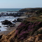 Enjoying a Rugged Beautiful Beach!!