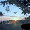 sunsetandsilhouette8