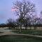 Lake Arlington Golf Course. Texas, USA