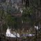 Withlacoochee River 1