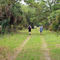 Hikers approaching the Oak Hammock Loop Trail