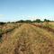 Road Walk