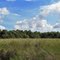 Open Grassland Area Near River