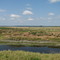 View from Lake Winder Observation Platform