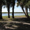 St Johns River from Airboat Site