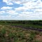 Hiking and Biking Trail in Conservation Area