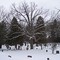 Peaceful cemetary