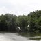 Flying Carp on Intracoastal Canal