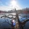 A fallen giant tree on Sunset Lake (Vicksburg recreation area)
