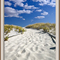 Dunes at Island Beach State Park