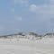 Island Beach State Park, South of Seaside Park, Ocean County, New Jersey