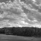 Farm and Pond Panorama