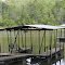 Lake Hartwell - 551 Shoal Creek Crossing, Lavonia, GA  30553 - Tom Miller, Lake Specialist - 678-469-9917