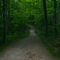 Hinckley Metro Park (Hinckley Hills Rd.)