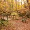 A Very Nice Place - Oct 24, 2010