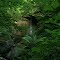 Spring Fed Waterfall