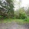 Killbuck Swamp