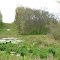 Killbuck Swamp