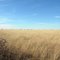 Oklahoma prairie land.