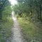 Nature Trail
